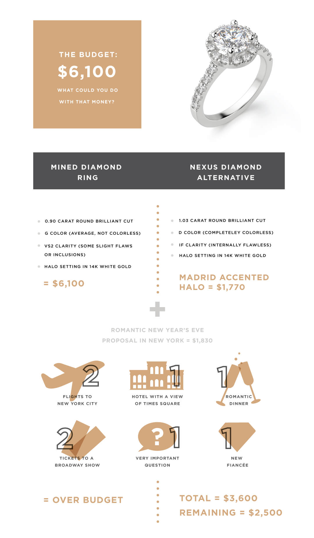 wedding budget infographic